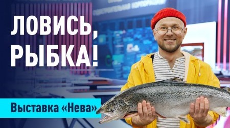Что не так с НОВЫМ рыбопромысловым флотом России? Что не так с НОВЫМ рыбопромысловым флотом России?